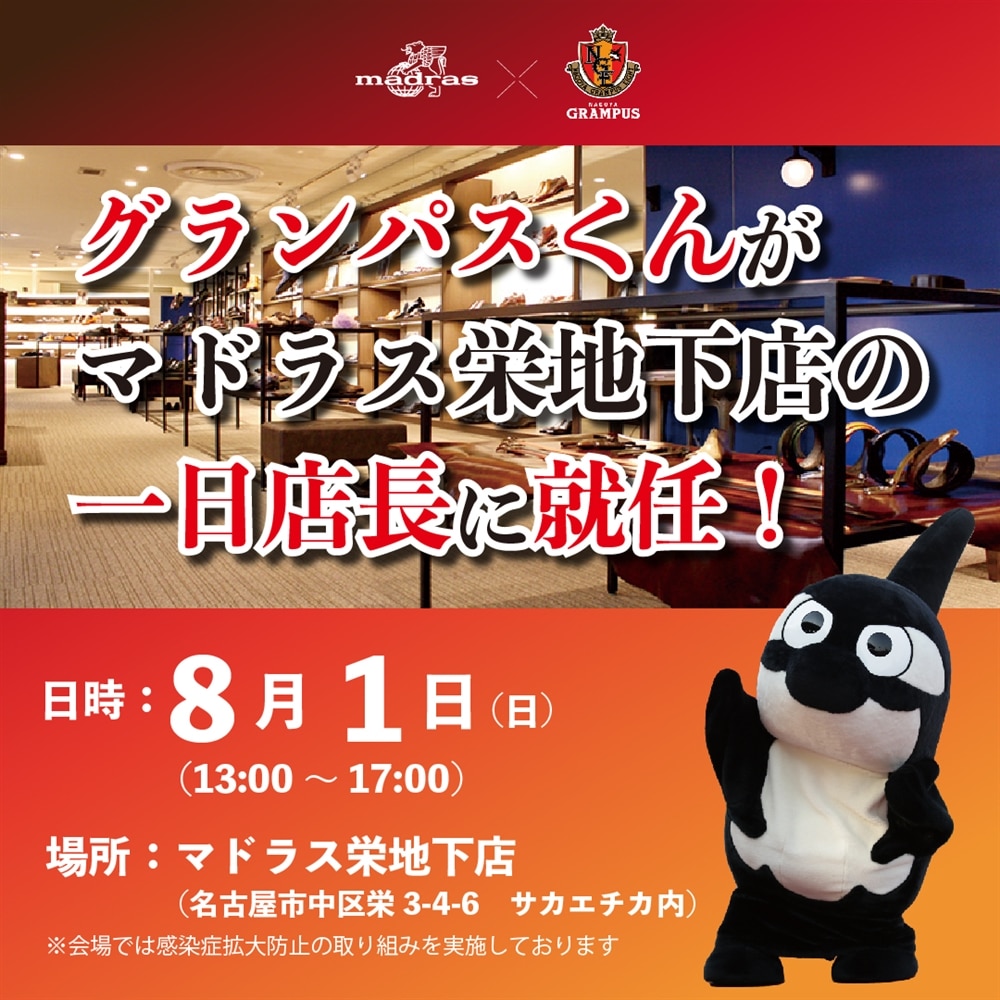 グランパスくんがマドラス栄地下店の一日店長に就任 マドラス株式会社 グランパスくんがマドラス栄地下店の一日店長に就任 マドラス株式会社