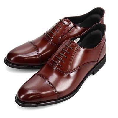 HIROKO KOSHINO HOMME  メンズ　内羽根ストレートチップビジネスシューズ　HR8005 WINE 25.0