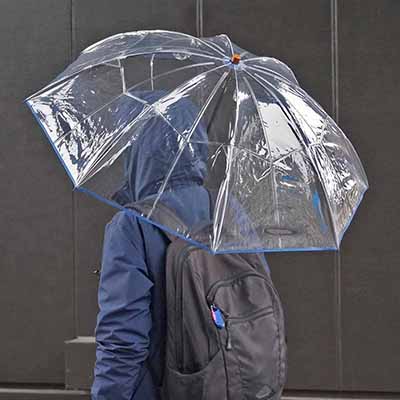 madras×WhiteROSEコラボレーション 特別仕様　折りたたみビニール傘（傘袋付き） カラー：ネイビー NAVY FREE