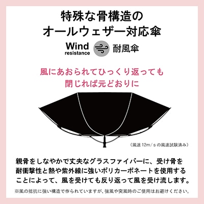 モデロ MODELLO 女性に嬉しいちょっと大きめサイズの風に強い折りたたみ傘　DMLB300 BLACK FREE