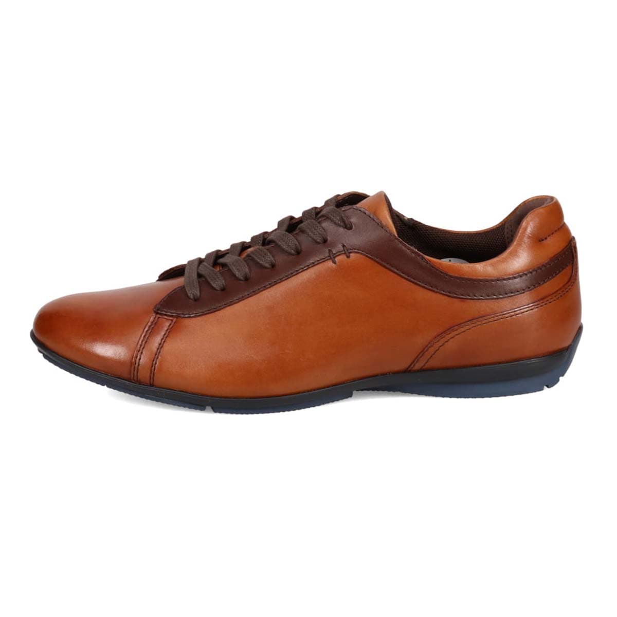 モデロ MODELLO カジュアルレザースニーカー　DM6923 BROWN/DARKBROWN 25.0
