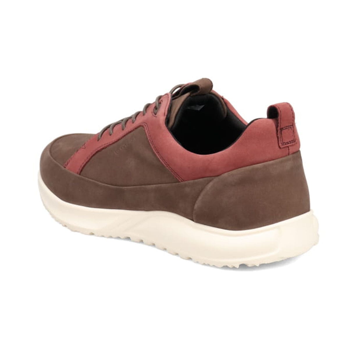 【GORE-TEX】マドラスウォーク madrasWalk　全天候快適なレザースニーカー　MW7600 D-BROWN/WINE 25.0