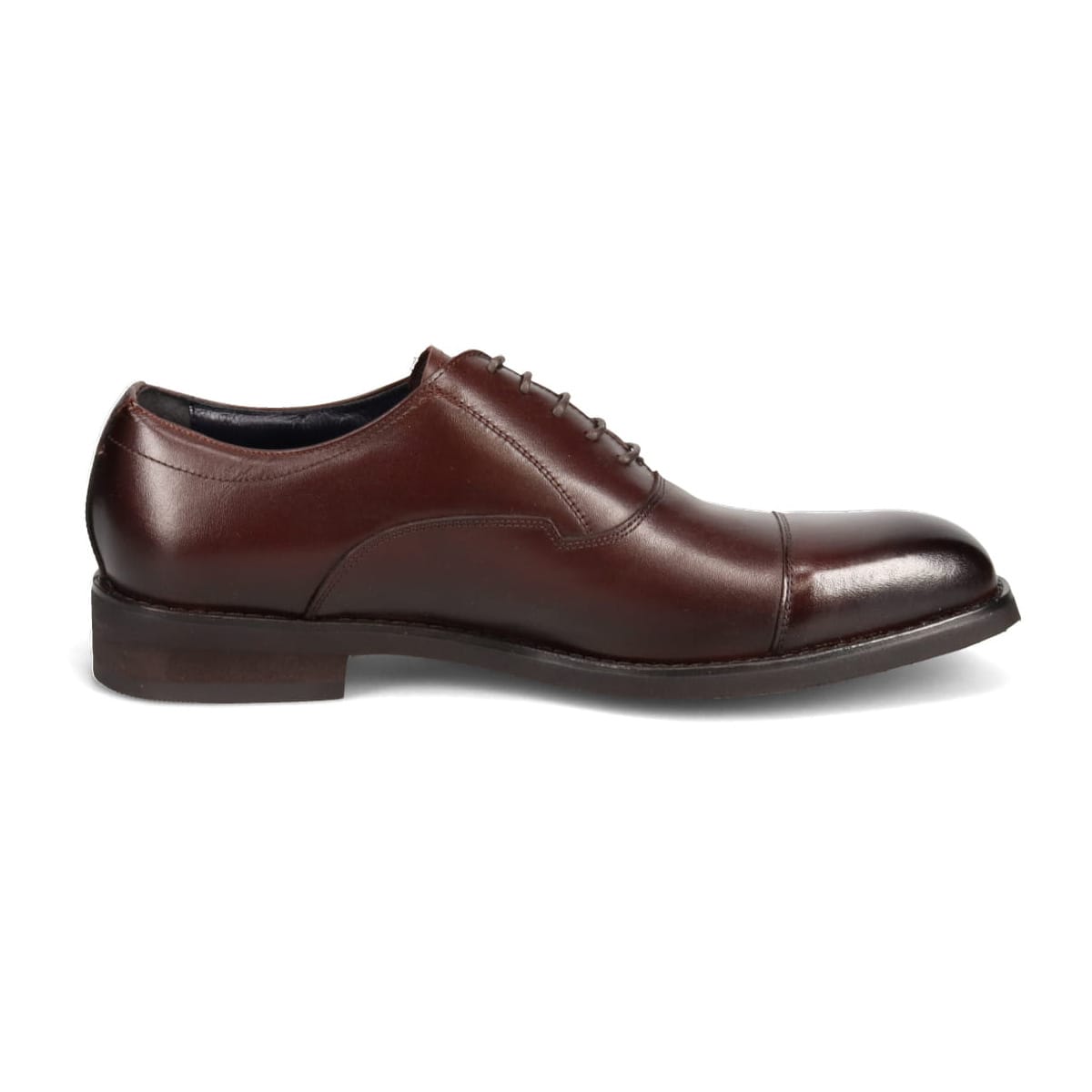 DAKS　内羽根ストレートチップ・ビジネスシューズ DA5242 D-BROWN 25.0