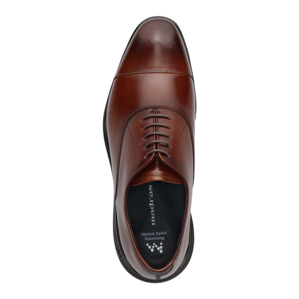 マドラス madras 特許 リカバリーメタインソール搭載シューズ  ビークトウ 内羽根ストレートチップ リカバリードレススニーカー　M8833MT BROWN 25.0
