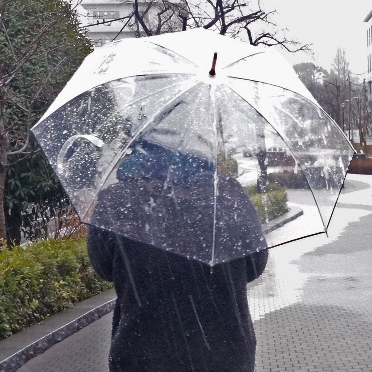 冠婚葬祭・ビジネスに最適【風を逃がし雨を通さない】特許取得 madras×WhiteROSE　コラボレーション特別仕様 別注 皇室御用達 丈夫な傘 MALB8001 撥水傘袋付 BLACK FREE